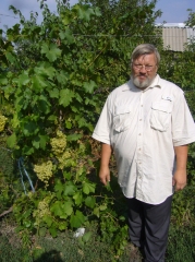 Знатный виноградарь Николай Сергеев из Южноуральска